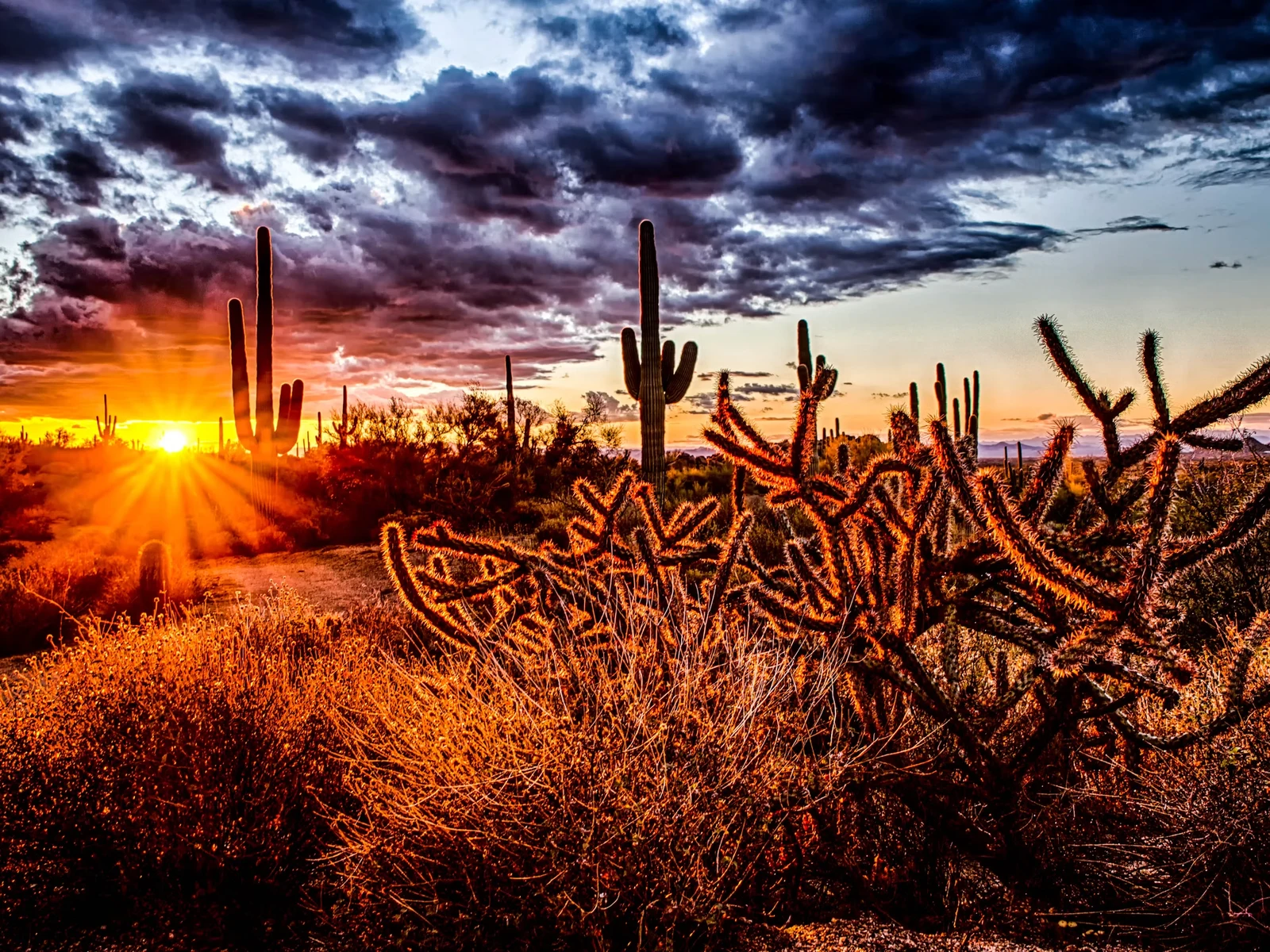 The sun bursting through dark storm clouds over saguaro and cholla cacti in the Arizona desert, light breaking through the darkness.